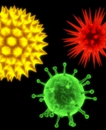 Epatite C, prove d'efficacia in presenza di mutazioni virali